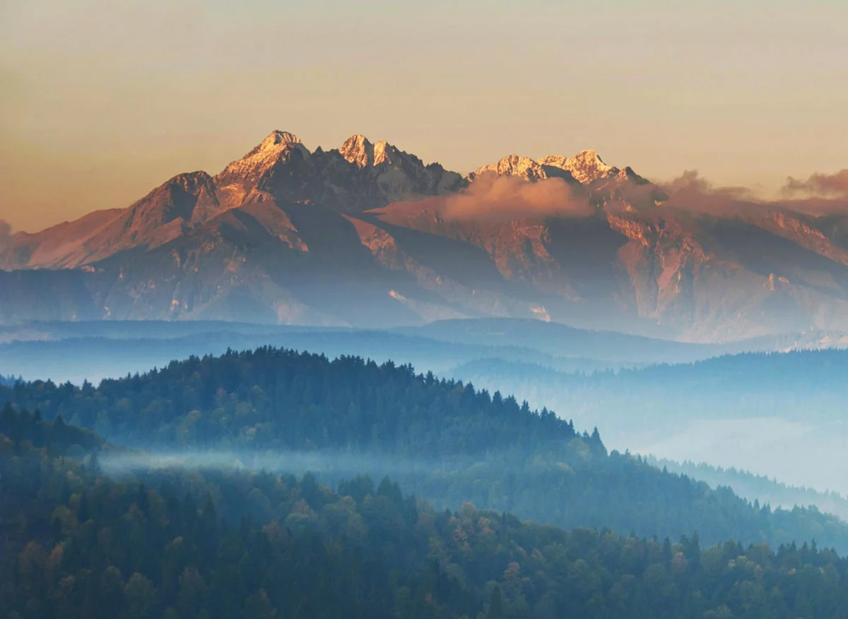 7,7 Internautów Już Wie Jak znaleźć dentystę w Cieszynie. A Ty?