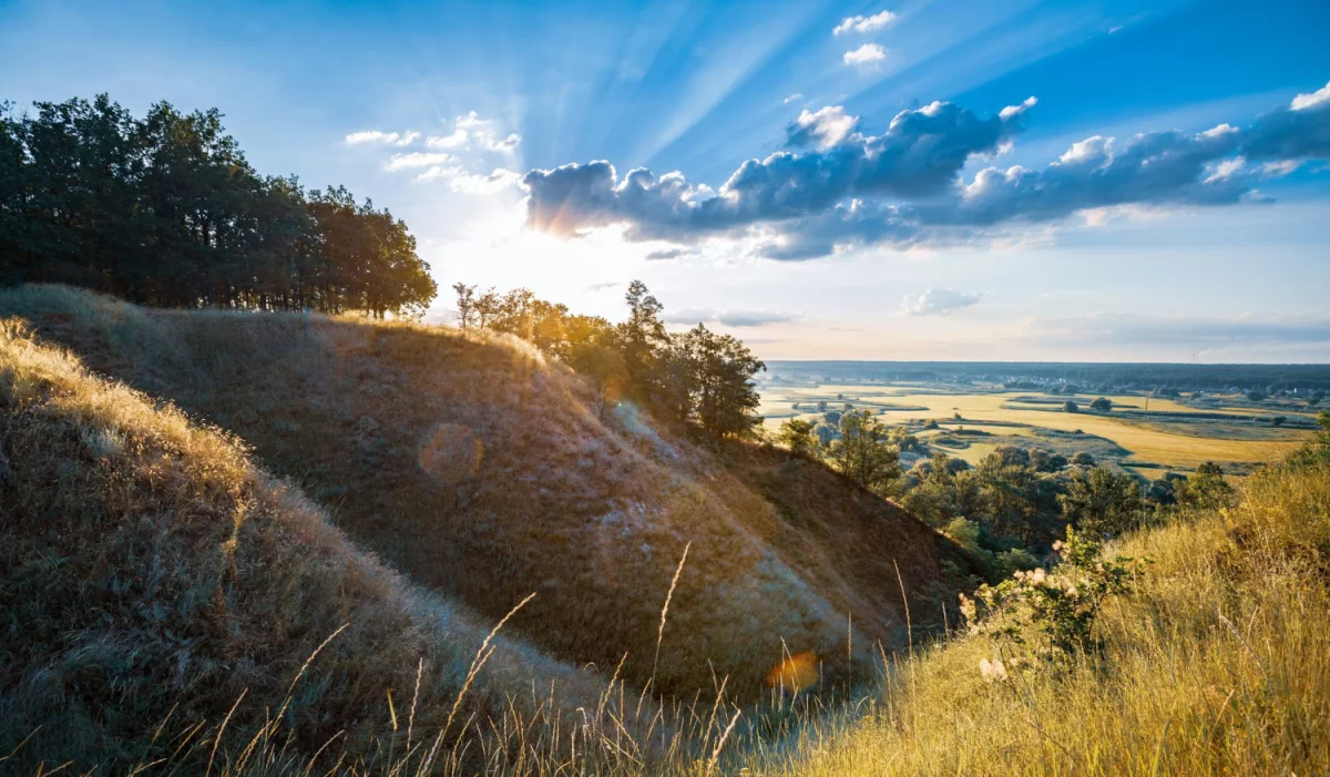 Podstawowe info na temat kuchni wegetarianskiej