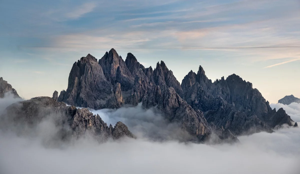 Jak odgrzybić mieszkanie i zarobić?