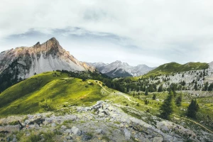 Lubisz Portal medyczny? Po przeczytaniu tego na pewno polubisz!