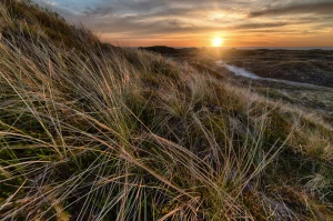 2025 jest dobry aby  kupić sprzęt audio