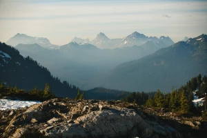 Jak długo musisz kupić programy?